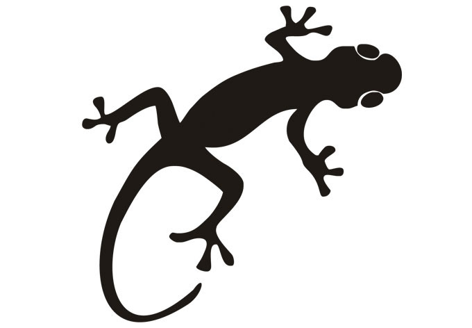 Kinderklettergruppe Gecko (5-10 Jahre)