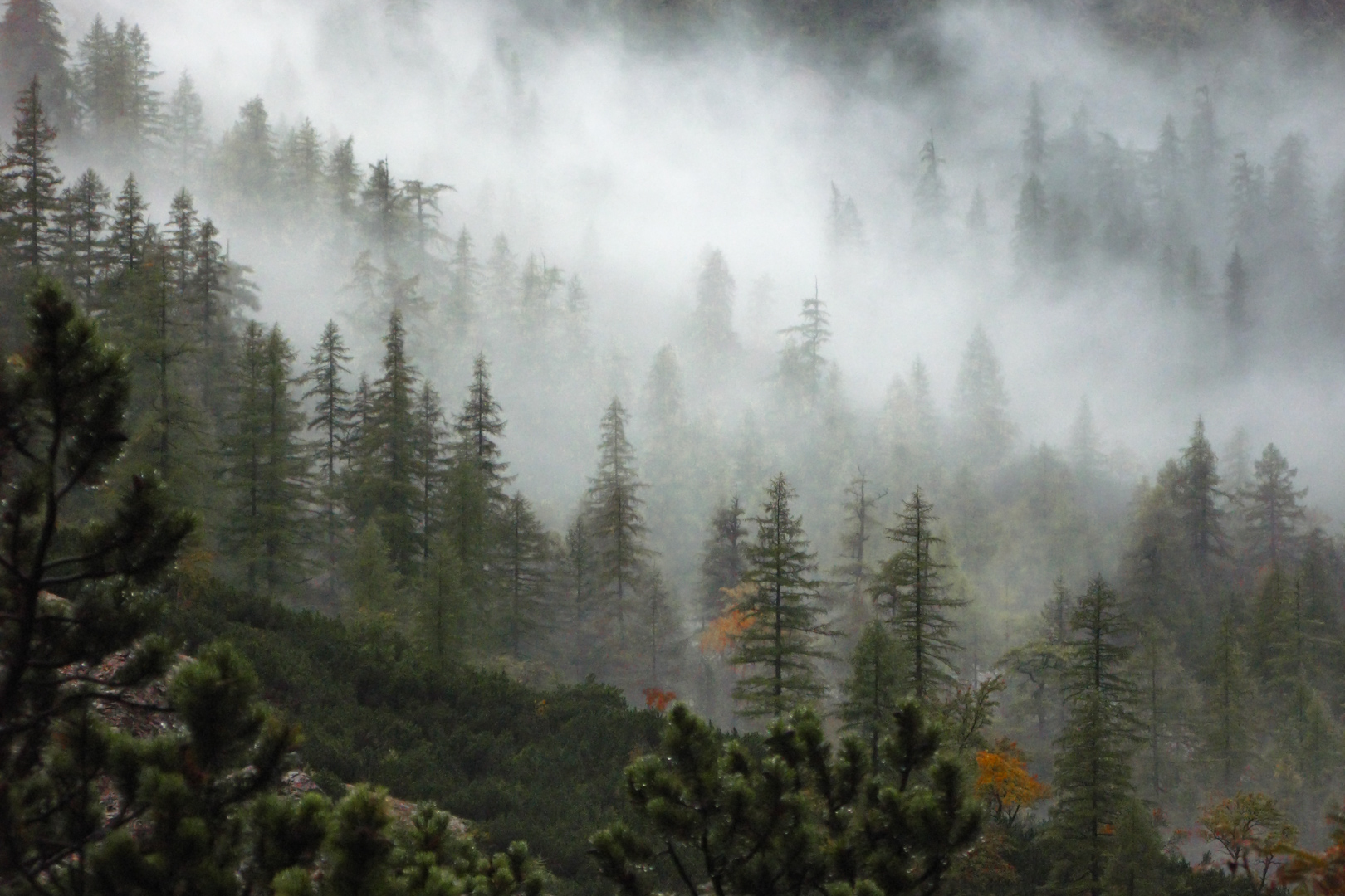 Bergwandern und Klettersteiggehen