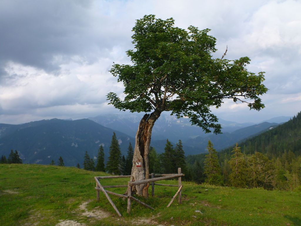 Schamanische Wanderungen ...